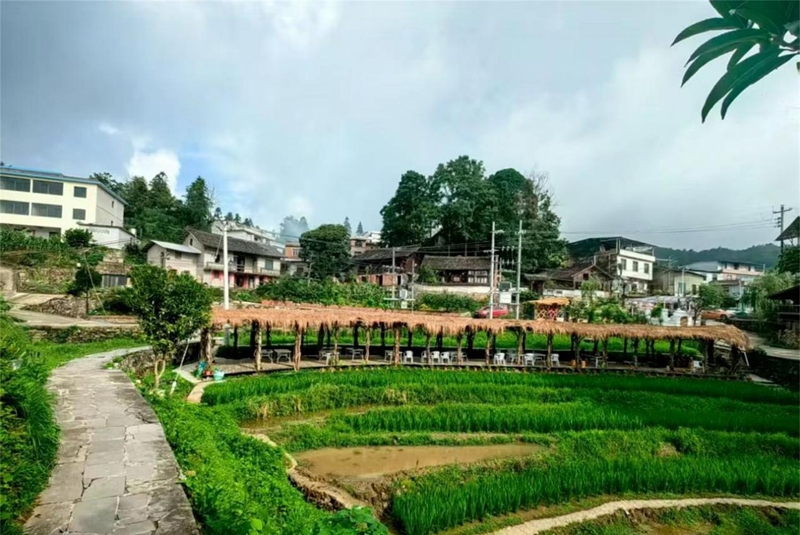 獨山縣影山鎮：巧落“四子”，激活鄉村治理“一盤棋”