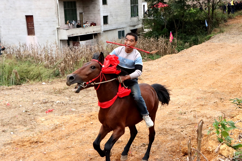 賽馬、歡歌、舞龍……貴州獨山縣玉水鎮端節氛圍感拉滿。