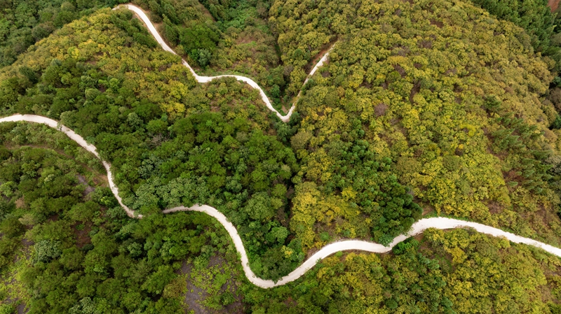 羅甸秋日一景。
