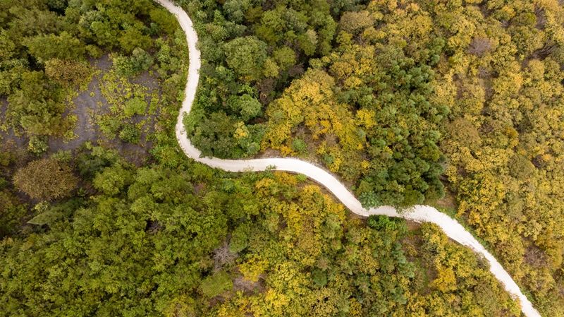 羅甸秋日一景。