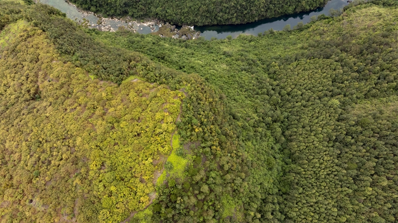羅甸秋日一景。