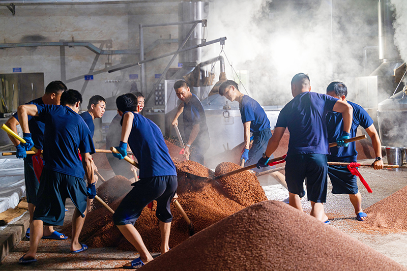 茅臺鎮雙龍村釀酒基地各個車間內蒸氣環繞，翻糧聲不斷。