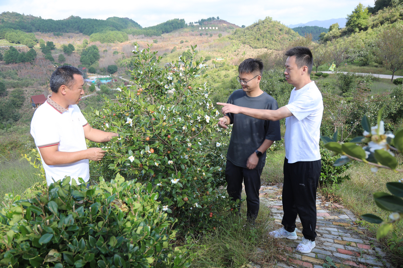 吳光榮（左）正在和科研人員探討油茶。