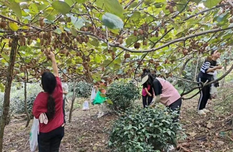 獨山縣影山鎮：“三拓寬”賦能鄉村振興。