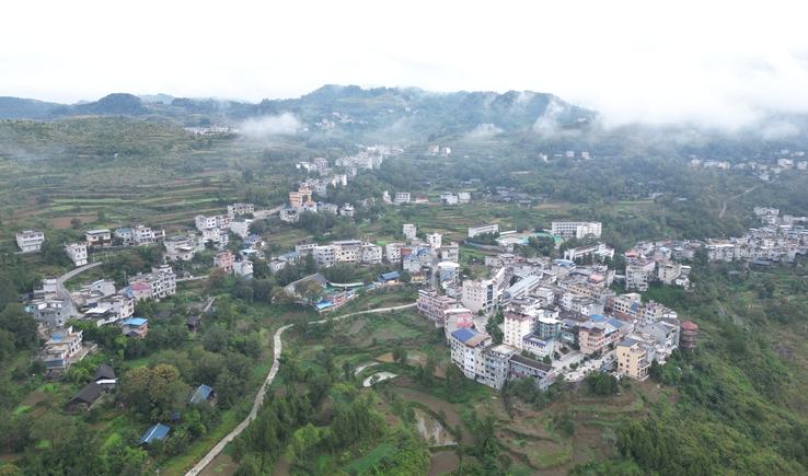 貴州思南：山貨乘“數”而上騰“云”出“山”