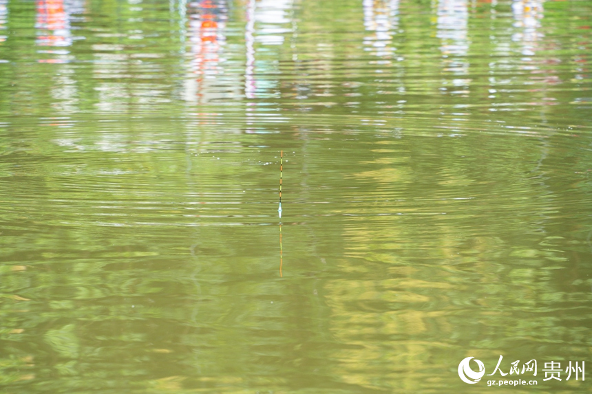 比賽現場。人民網 陽茜攝