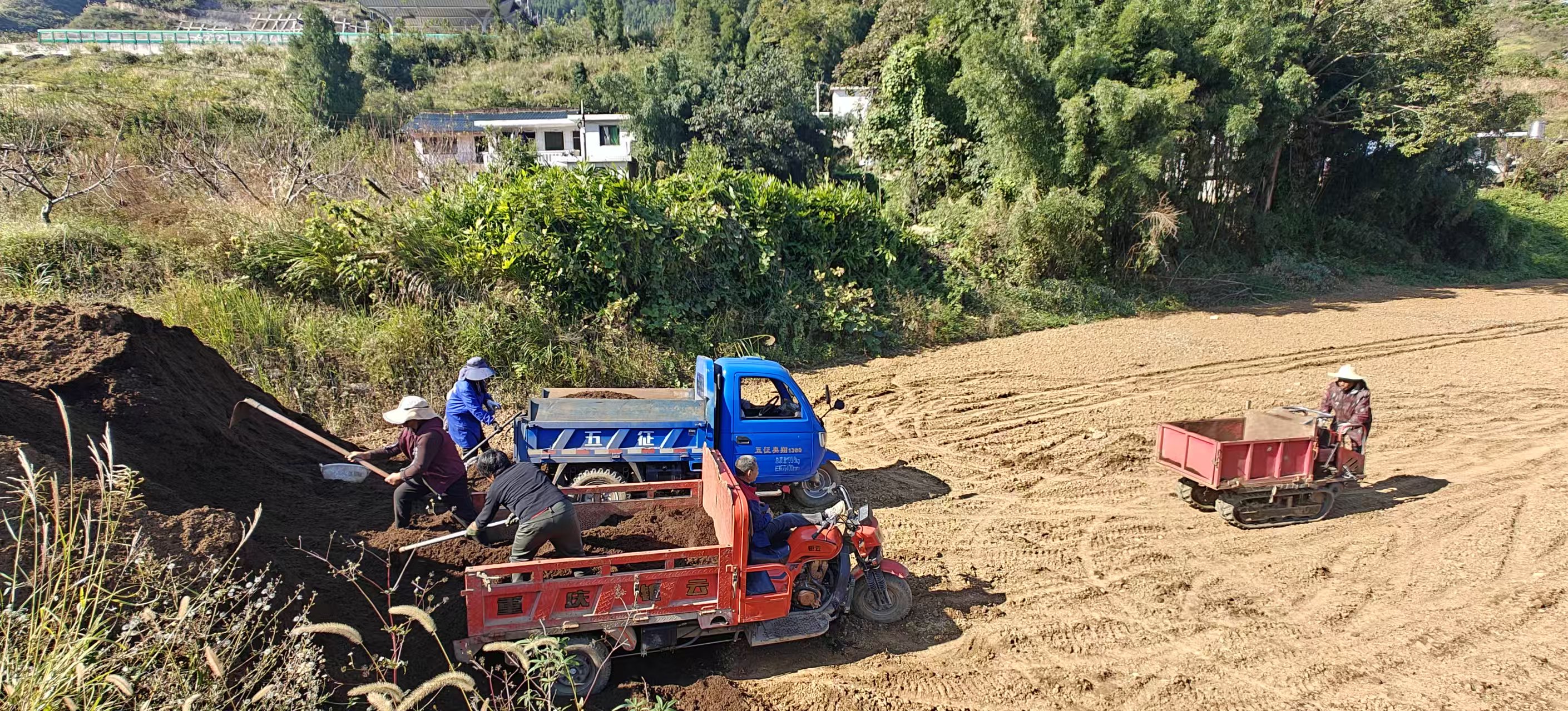 圖為：轉運基料 （胡曉嫻 攝）