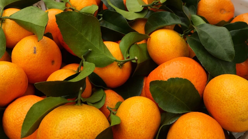 松桃世昌街道:3800畝特色產業鋪就鄉村振興致富路。