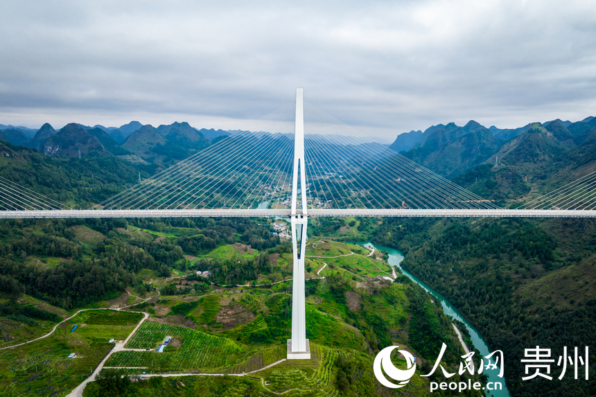 航拍平塘特大橋。人民網記者 涂敏攝