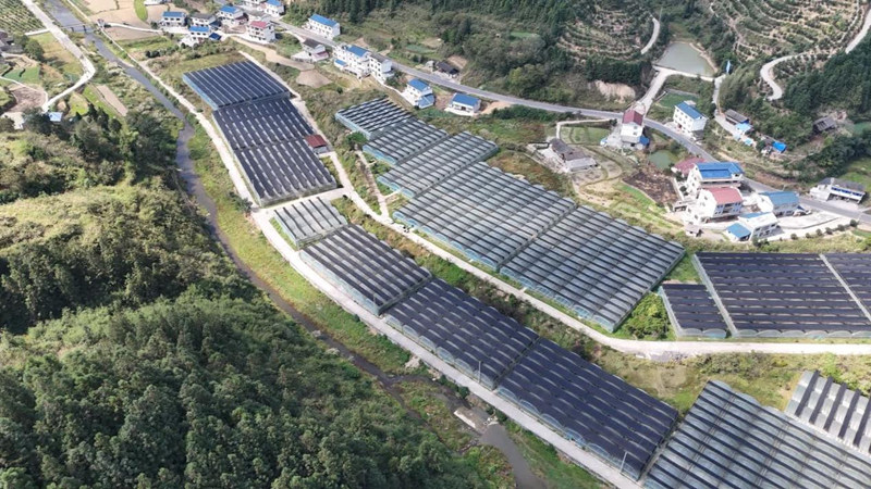 粵黔協作架消費金橋 黔貨出山促鄉村振興。