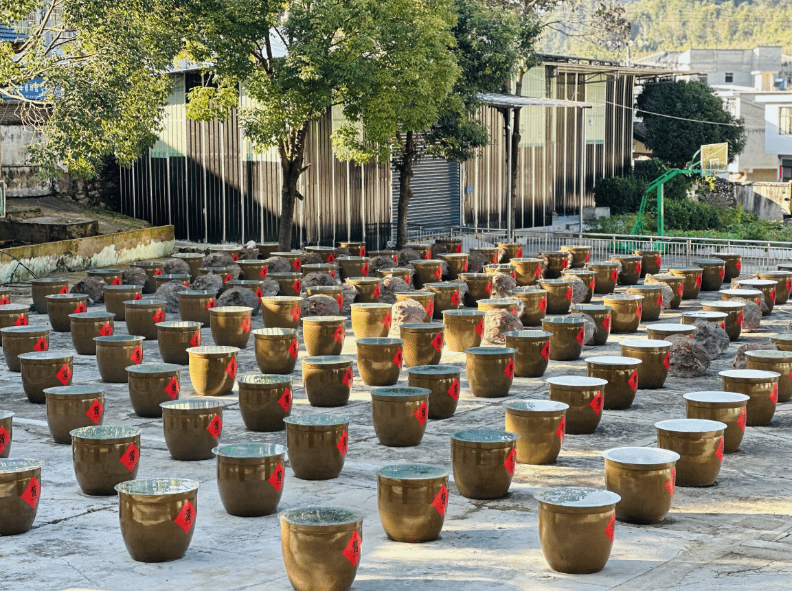 圖為：醬油廠醬油壇子