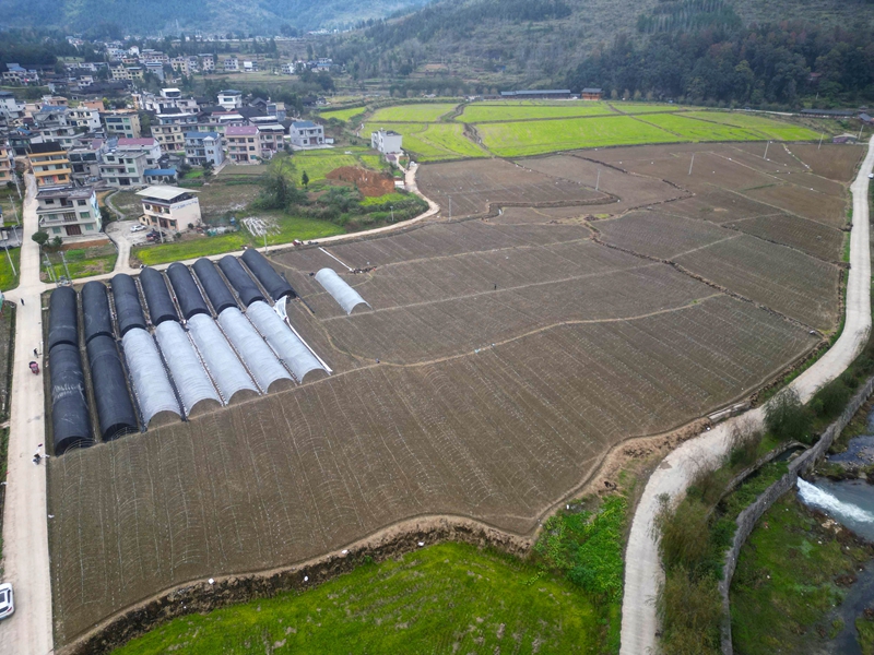 松桃長征村：勇闖產業振興“長征”路。