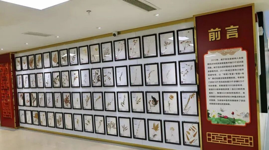 植物標本展示區。