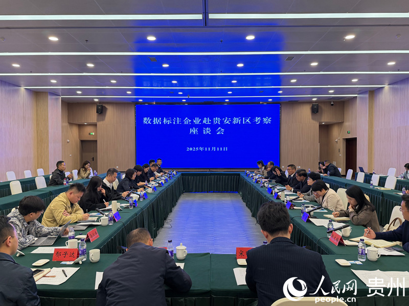 座談會現場。 貴州省大數據局供圖