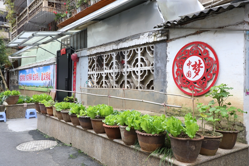 七星關區洪山街道洪山社區老舊小區改造后環境干凈整潔。邱夢如攝