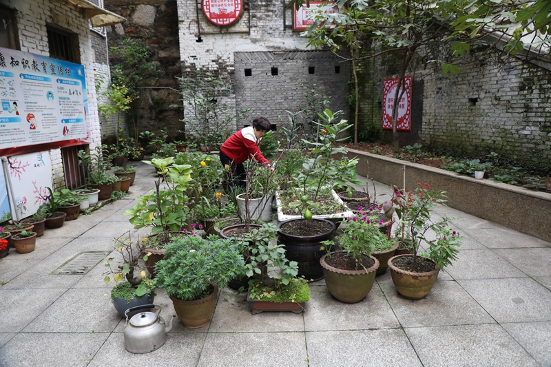七星關區洪山街道洪山社區老舊小區改造后環境干凈整潔，居民正在打理自家院壩花園。邱夢如攝