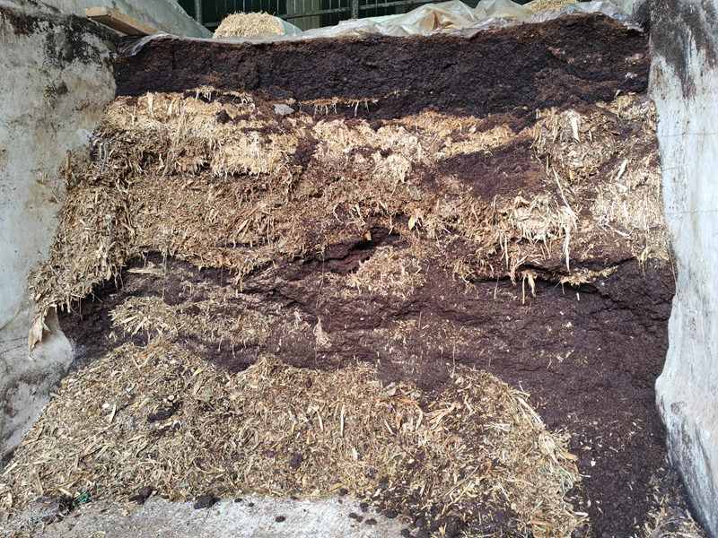 酒糟（蘇暢莉  攝）.jpg