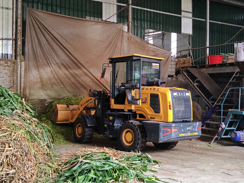設備進場（蘇暢莉  攝）.jpg