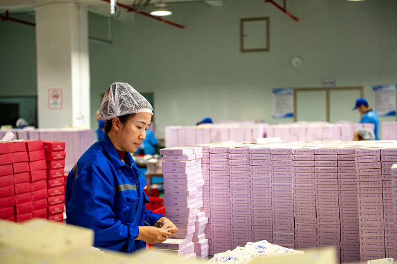 11月11日，在貴州省從江縣美娥工業園區的一家藥企，工人在生產車間趕制訂單。