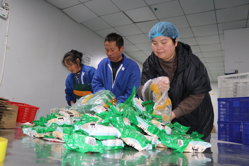 貴州卡媽農特產品開發集團有限公司生產車間 工人正在趕制訂單 范俊岑 攝 (3).JPG