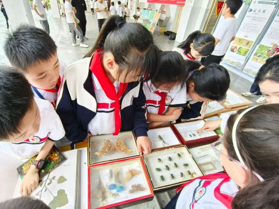 學生在看植物標本。
